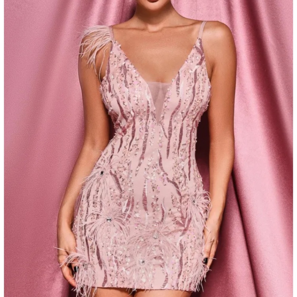 New Bella sequined dress with tags! Unique and glamorous!